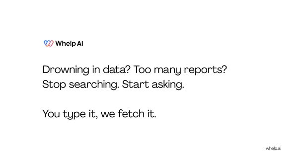 Too Much Data. Too Many Reports. Stop Wasting Time Searching.